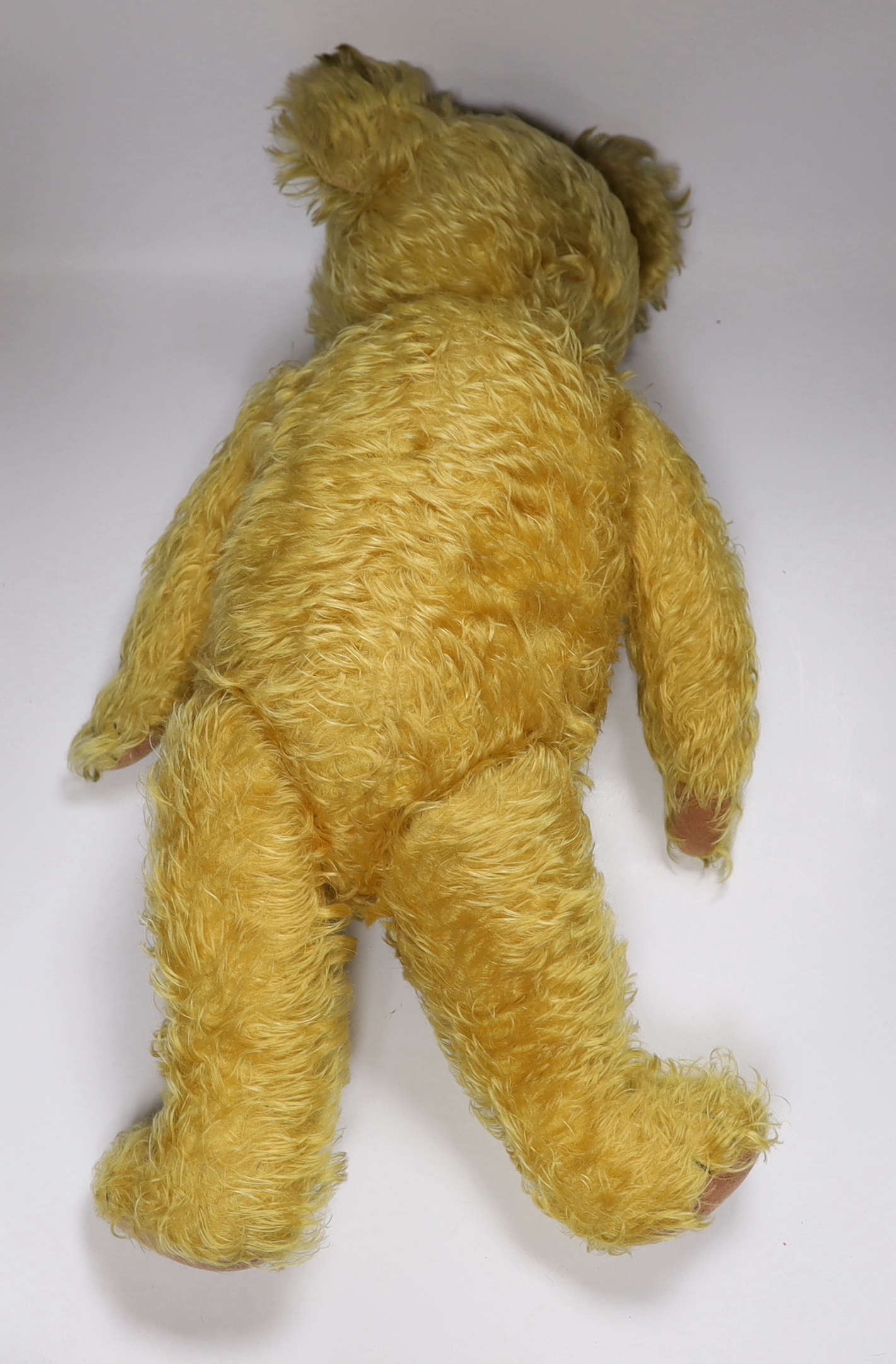 A Terrys bear c.1930, all original, excellent condition